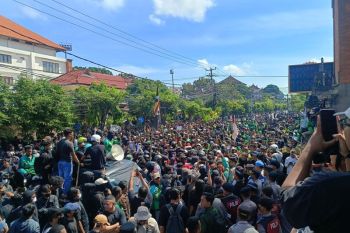 Demo di Denpasar Bali, 8 polisi dan 2 warga sipil terluka