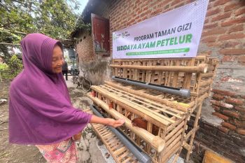Taman Gizi jadi program perkuat ketahanan pangan keluarga