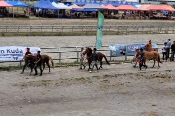 219 kuda tradisional berpacu di Aceh Tengah
