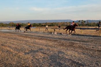 Pacuan Kuda Kupang jadi agenda tetap Pemkab