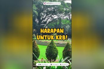 Harapan untuk KRB!