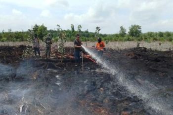 BPBD Sumsel catat terjadi 394 karhutla selama Agustus 2025