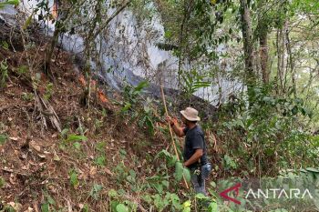 Kebakaran hutan pinus di Agam meluas jadi tujuh hektare