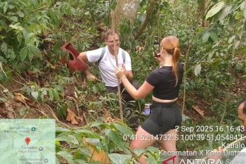 Bunga rafflesia arnoldi ditemukan kembali mekar di Kabupaten Solok