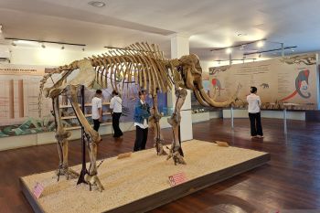 Museum NTT mencatat 5.434 pengunjung hingga Agustus 2025