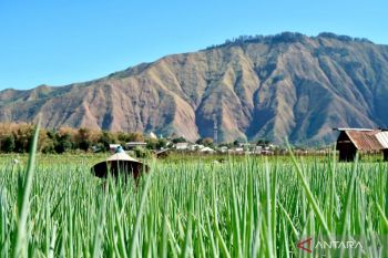 DPRD NTB usul bangun gudang kastorit agar harga bawang merah stabil
