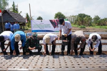 Lombok Utara tanam bawang merah jaga inflasi