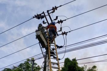 PLN Batam imbau masyarakat tidak main layangan dekat jaringan listrik