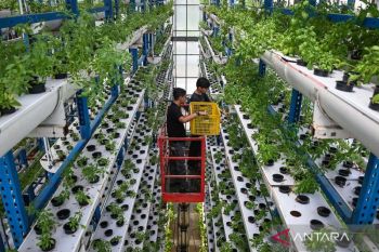 Indonesia pushes agricultural industrialization to tackle income trap