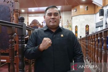 Legislator Kapuas apresiasi respons cepat pemkab bantu warga dilanda musibah