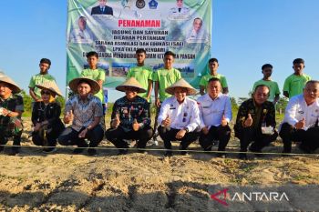 LPKA Kendari manfaatkan lahan kosong untuk tanam komoditas pertanian