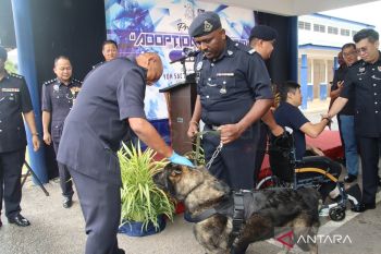 Kepolisian Malaysia buka program adopsi anjing pelacak K9 purnatugas