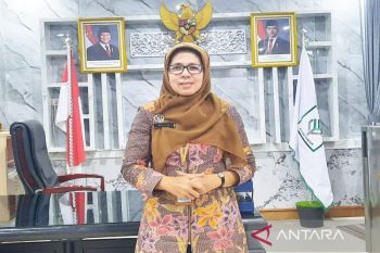 Mengabdi untuk kemajuan pertanian lahan rawa