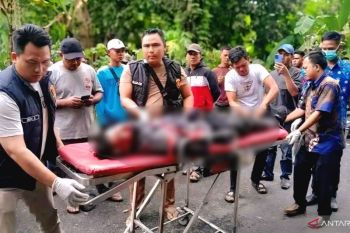 Seorang pengendara motor di OKU Timur tewas tertimpa pohon tumbang