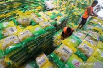 Pemerintah Percepat Penyaluran Beras SPHP, Kendalikan Harga Pangan