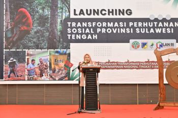 Pemprov Sulteng luncurkan proper transformasi perhutanan sosial