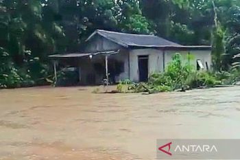 Satu desa di Kotim dilanda banjir luapan sungai