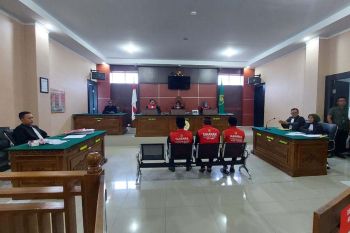 Penjual kulit harimau di Aceh Tengah divonis 3 dan 5 tahun penjara