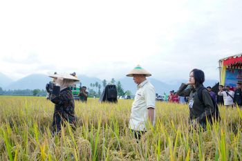 Sigi tingkatkan dan perkuat produksi pertanian daerah