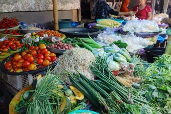 Pasar Karang Lelede masih relevan bagi masyarakat urban di Mataram