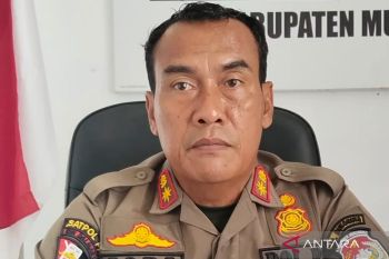 Satpol Mukomuko: Penertiban ternak berkeliaran dilakukan secara kontinu