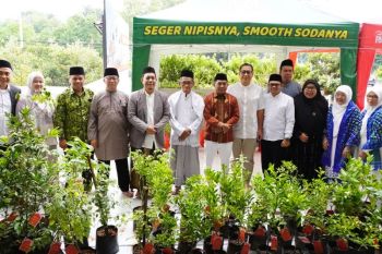 DKM Masjid Jami Ar-Raudhah sedekah pohon untuk cegah polusi Jakarta