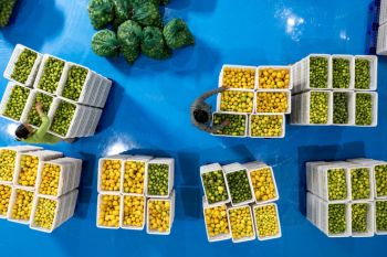 Mengulik perjalanan hasil bumi Yunnan hingga menembus pasar ASEAN