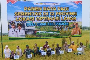 Kalsel kemarin dari bedah rumah hingga varietas Siam Madu