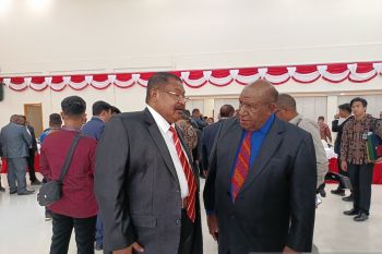 Pemprov Papua Pegunungan dorong bagi hasil keuntungan PTFI