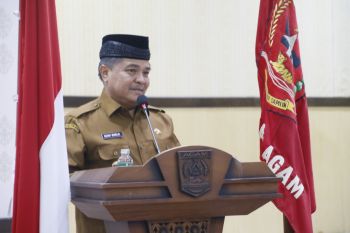 Agam ditetapkan sebagai daerah pengembangan kelapa-kopi