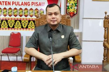 Waket DPRD Pulpis akui Perkebunan kelapa sawit penyumbang utama PAD