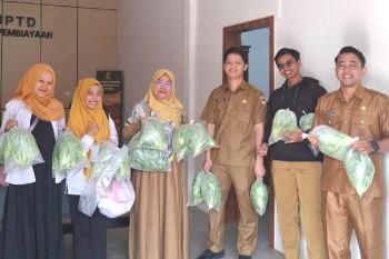 Ciptakan Pangan Sehat, Dinas Pangan Kota Solok Gencarkan Budidaya Hidroponik