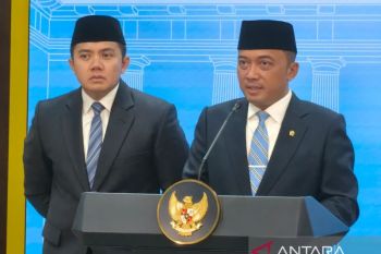 Istana bantah reshuffle untuk hapus menteri pemerintahan Joko Widodo