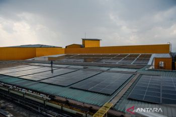 Govt crafts manpower roadmap to tackle energy transition job risks