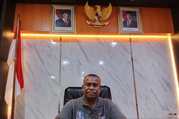 DPMPTSP Jayapura susun peta potensi investasi daerah dongkrak PAD
