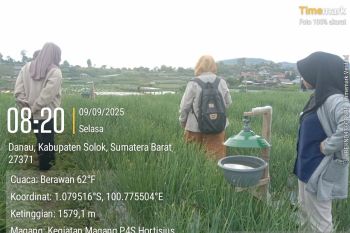 Petani bawang di Kabupaten Solok terapkan pertanian ramah lingkungan