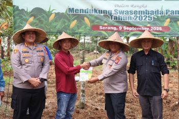 Dukung ketahanan pangan, Polda Banten tanam jagung di lahan 10 hektare