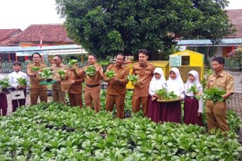Pemkot Serang panen hasil urban farming targetkan edukasi sejak dini