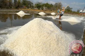 DIY menerapkan teknologi tunnel untuk dongkrak produksi garam