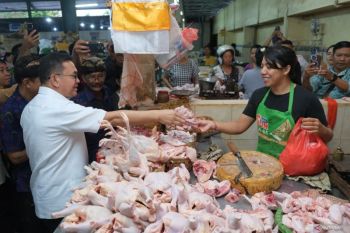 Mendag nilai kenaikan harga daging ayam potong di Bali masih masuk batas acuan