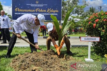 Ditjenpas dan Pemprov tanam 5 ribu pohon kelapa di seluruh Lapas dan Rutan Sultra