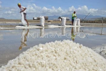 NTB’s Salt Boom: Downstreaming pushes toward 2027 self-sufficiency