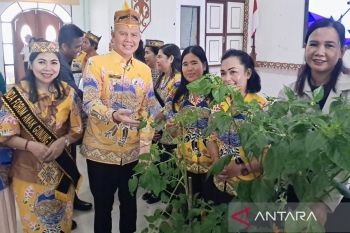 Pemkab Gumas dukung pengembangan UPPKA dengan menyalurkan tanaman hortikultura