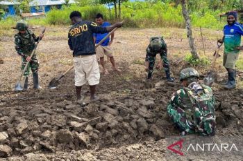 Satgas Yonif 521/DY dorong program ketahanan pangan di Mamteng