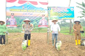 Program satu desa dua hektar jagung berjalan di Cikande Serang