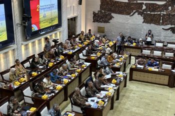 Purbaya targets Danantara's rising investment role by 2029