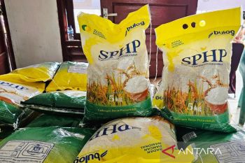 Perum Bulog siapkan 1.307 ton cadangan beras pemerintah di Natuna