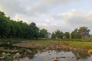 Hutan Kota Giong Siu disebut sabuk hijau mencegah banjir di Mataram