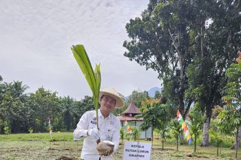 Rutan Lubuk Sikaping tanam pohon kelapa dukung swasembada pangan nasional