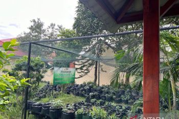 BBKSDA Riau sebut perubahan fungsi lahan di Batam penyebab kera masuk permukiman